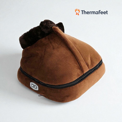 Electric foot warmer