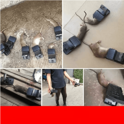 🔥Highly Sensitive Reusable Mouse Trap🌙